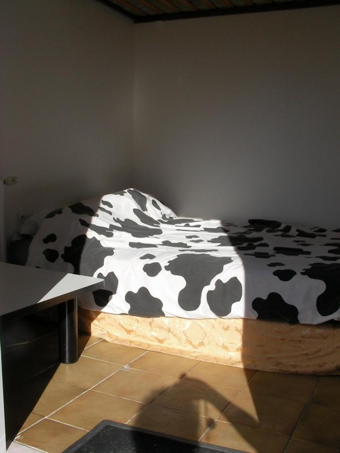studette indépendante Appartement Belfort Buitenkant foto